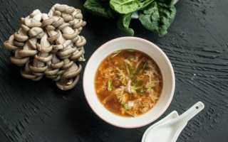 Суп из вешенок: простые и вкусные рецепты приготовления