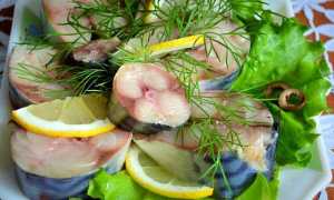 Засолка рыбы в домашних условиях: вкусные и простые рецепты