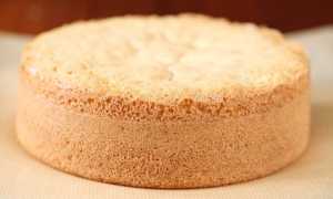 10 самых простых и вкусных рецептов бисквитов в домашних условиях