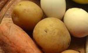 Салаты с селедкой — простые и вкусные рецепты закуски