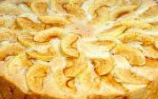 Шарлотка с яблоками в духовке: 5 простых пошаговых рецептов