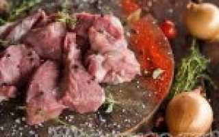 ТОП-19 проверенных маринадов для сочного и мягкого шашлыка из свинины, курицы и баранины